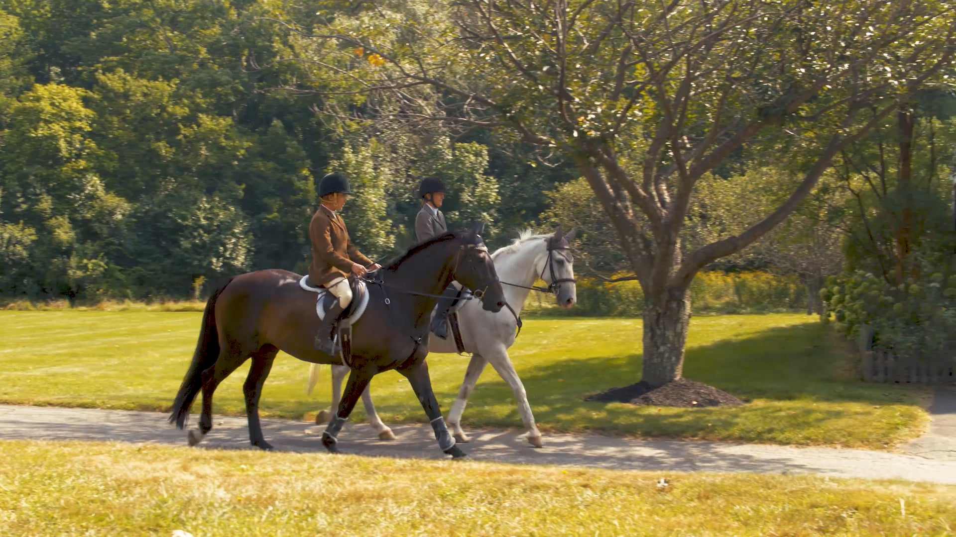 Springdale Rd Dover, Ma on Vimeo