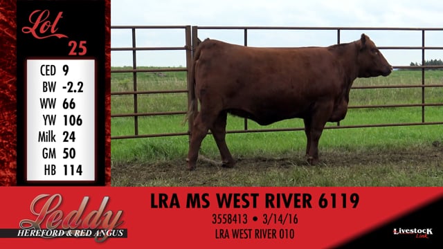 Lot #25 - LRAMS WEST RIVER 6119