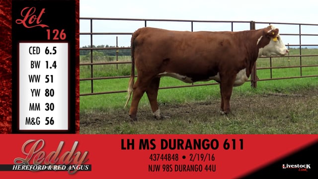 Lot #126 - LH MS DURANGO 611