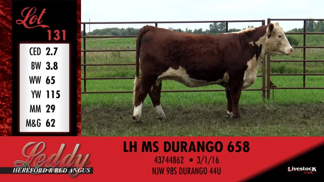 Lot #131 - LH MS DURANGO 658