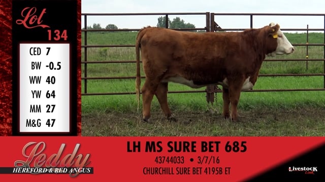 Lot #134 - LH MS SURE BET 685