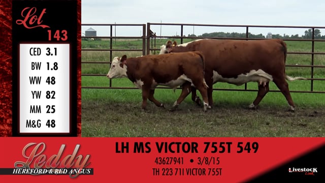 Lot #143 - LH MS VICTOR 755T 549
