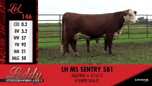 Lot #146 - LH MS SENTRY 581