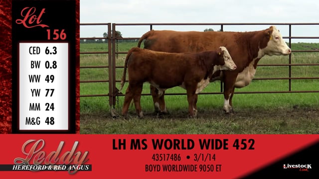 Lot #156 - LH MS WORLD WIDE 452