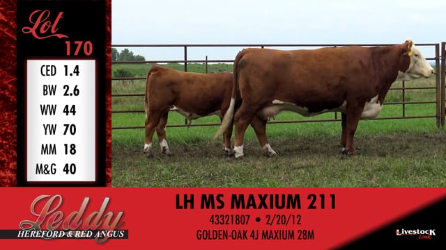 Lot #170 - LH MS MAXIUM 211