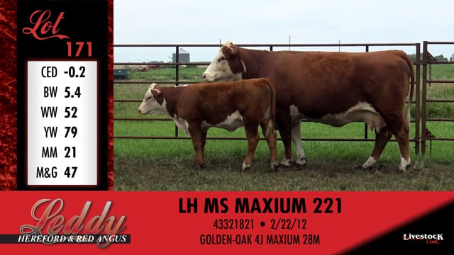 Lot #171 - LH MS MAXIUM 221