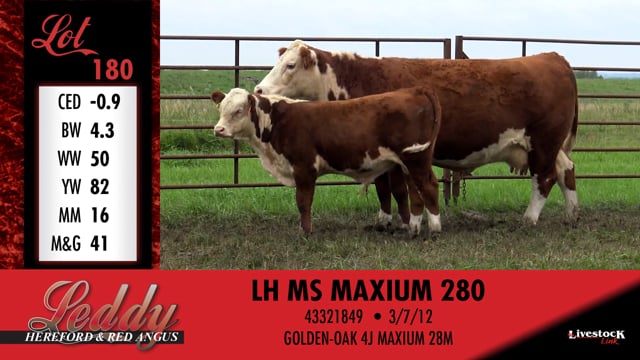 Lot #180 - LH MS MAXIUM 280