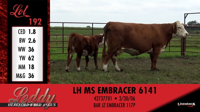 Lot #192 - LH MS EMBRACER 6141
