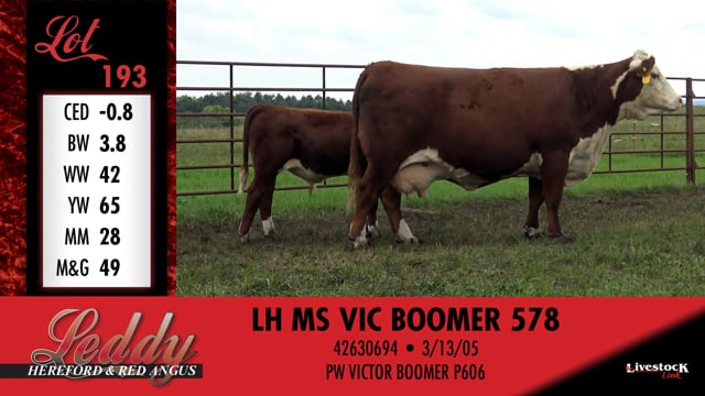 Lot #193 - LH MS VIC BOOMER 578