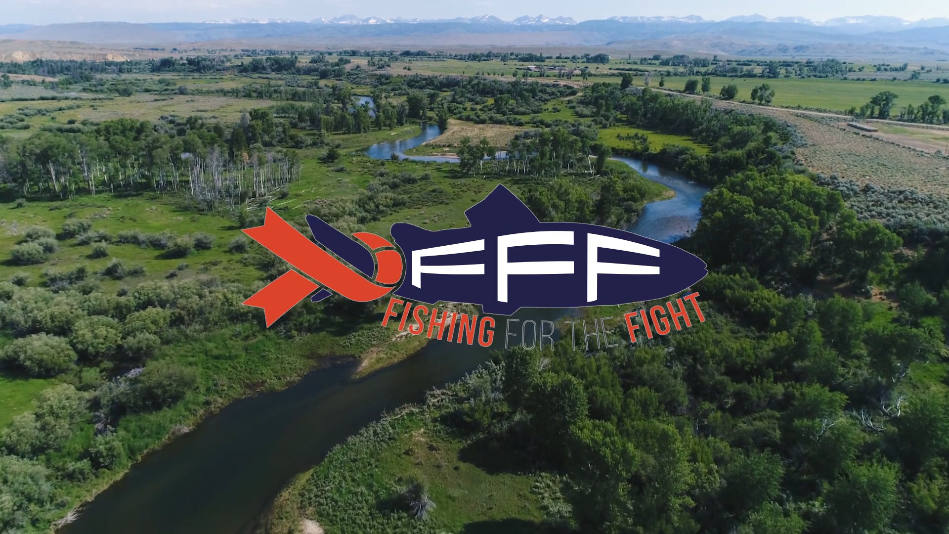 Fishing For the Fight