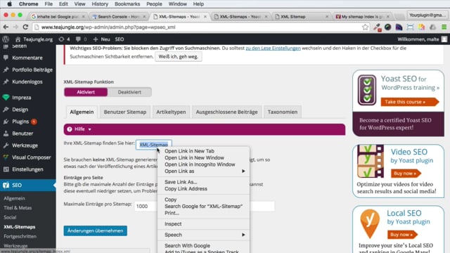 Der Google Crawler & noindex, index, follow, nofollow