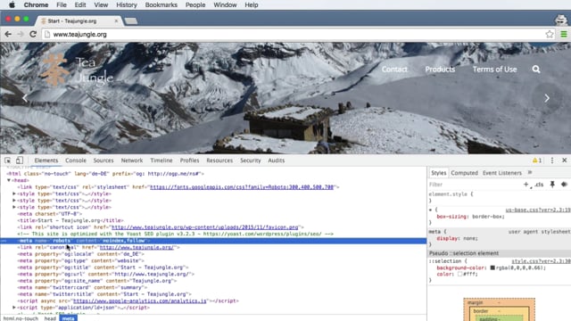 Die XML Sitemap als zentrale Seiten-Übersicht für Google