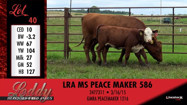 Lot #40 - LRA MS PEACE MAKER 586