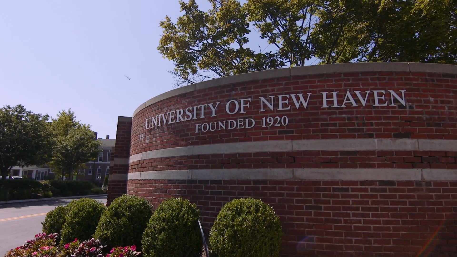 University of New Haven: Graduate Student Experience