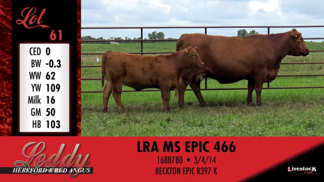 Lot #61 - LRA MS EPIC 466