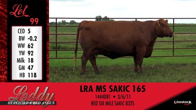 Lot #99B - 99B