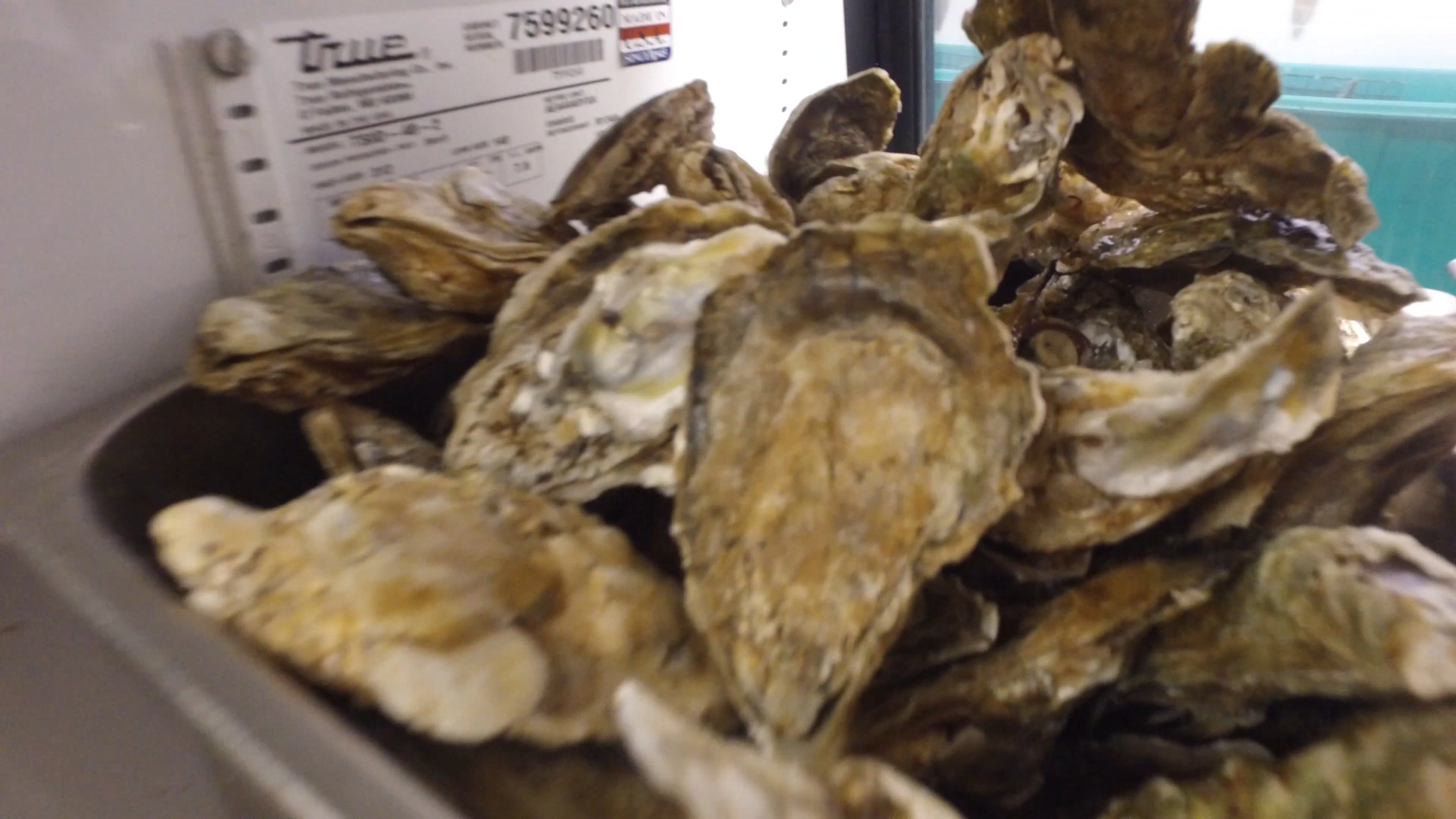 Stuarts Seafood on Shellfish Hatchery on Vimeo