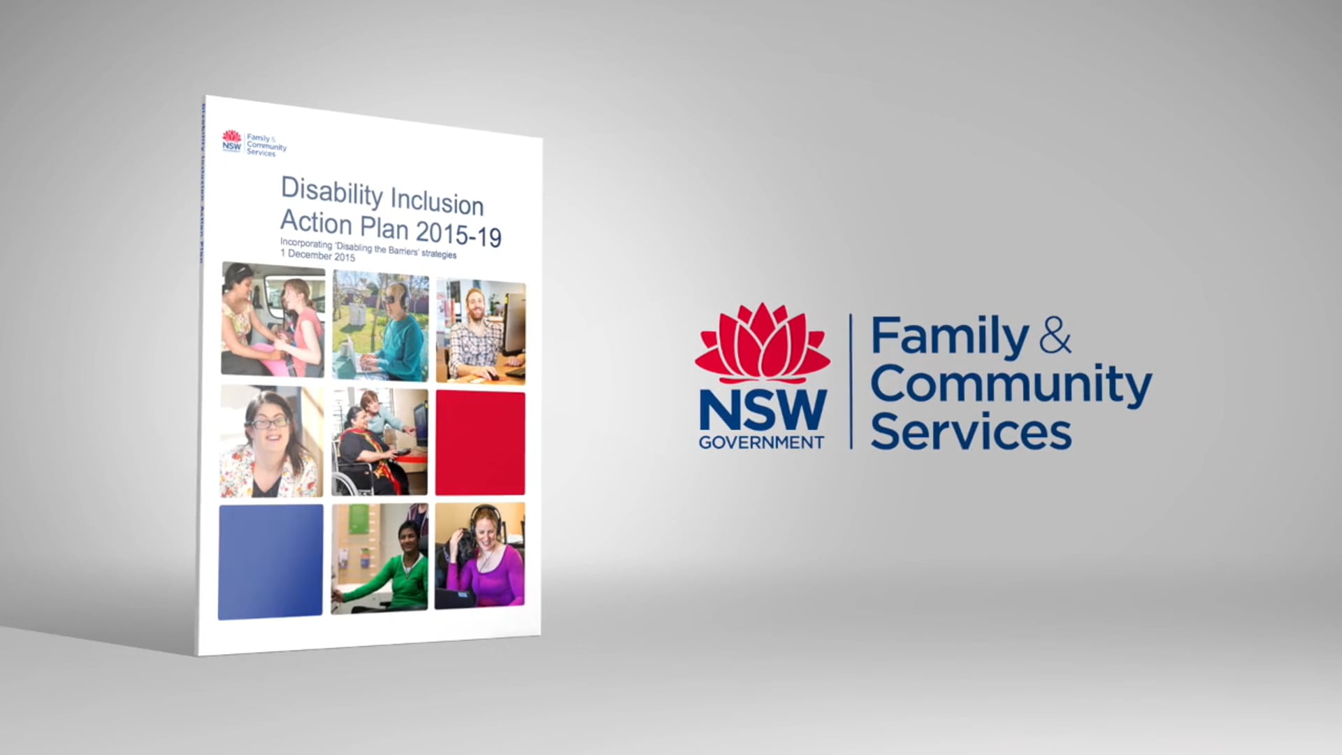 FACS Disability Inclusion Action Plan