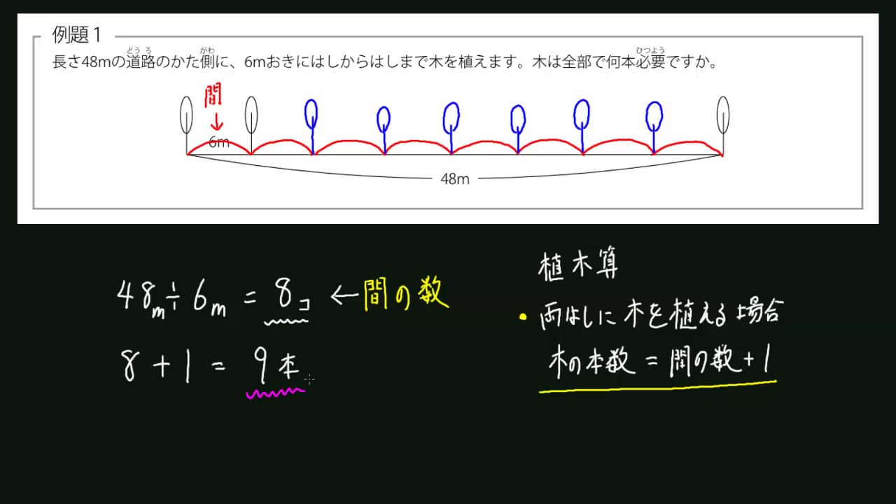 動画解説 みんなの算数オンライン 植木算超入門 間の数と木の本数