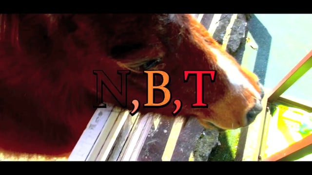 【旧PINCH COX MV】N.B.T