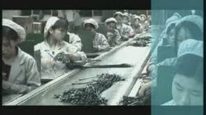 Documentary