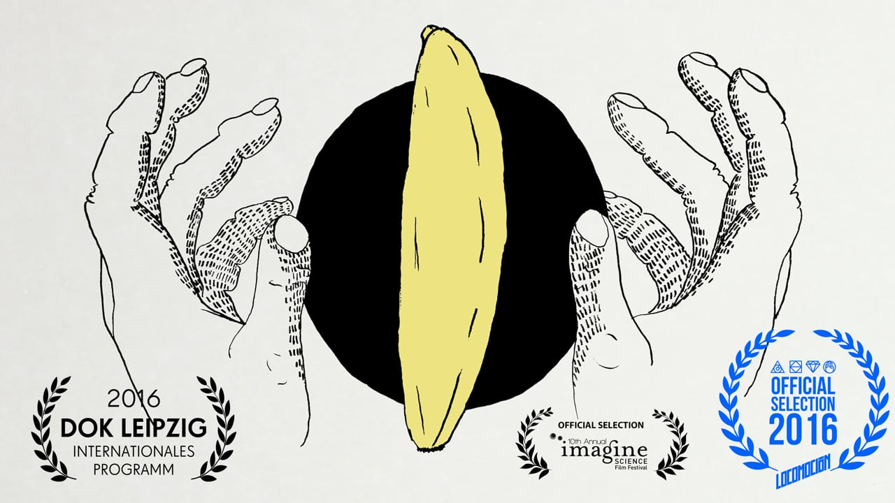 Screenshot of AMARILLO