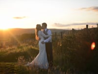 / C + S \ The Wellbeing Farm