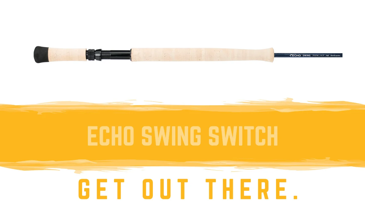 SWING SWITCH