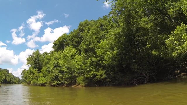 US 80 to Old Cahawba  (May 2016)