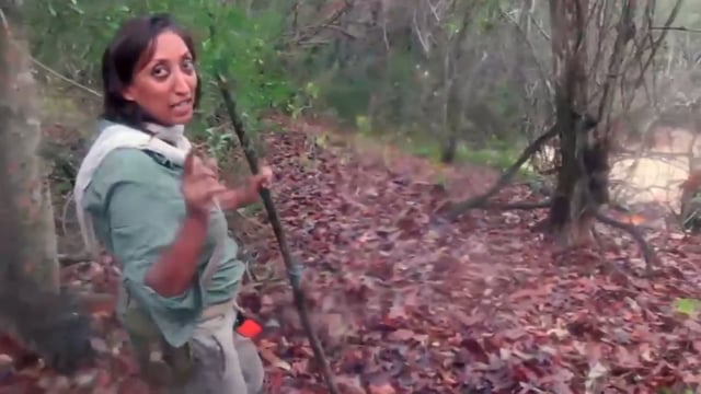 Shazia on Celebrity Island