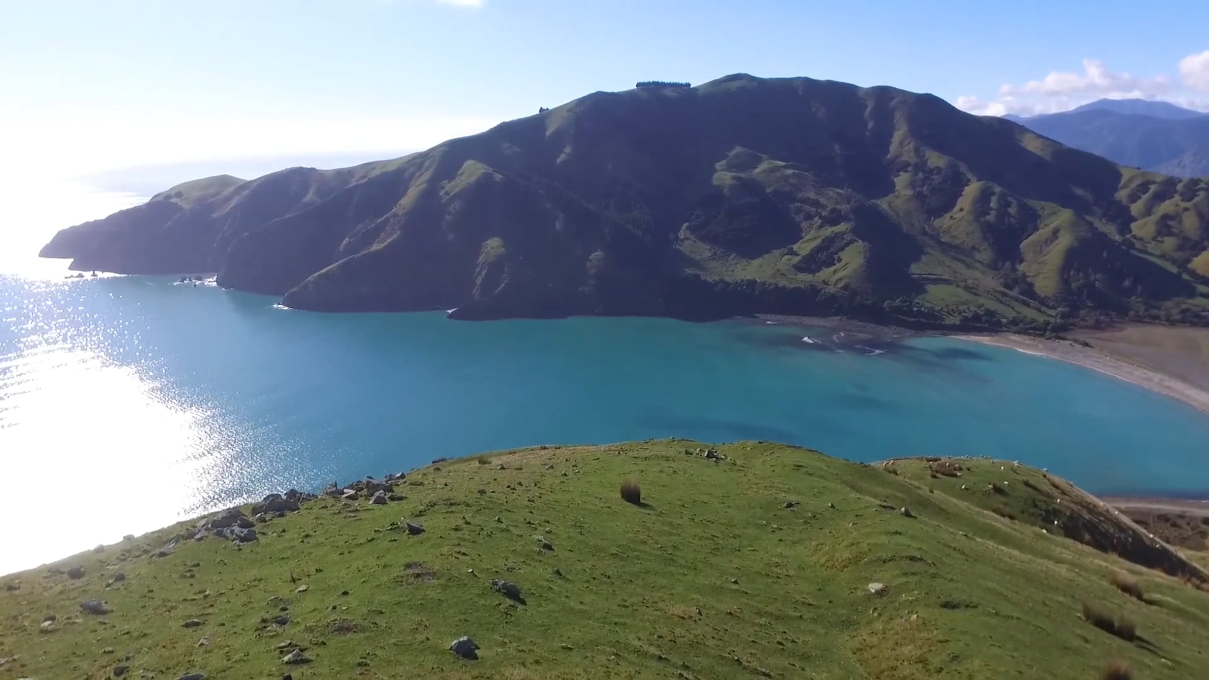 PledgeMeLove NZ Land & Water PledgeMe | Videos & Movies on Vimeo