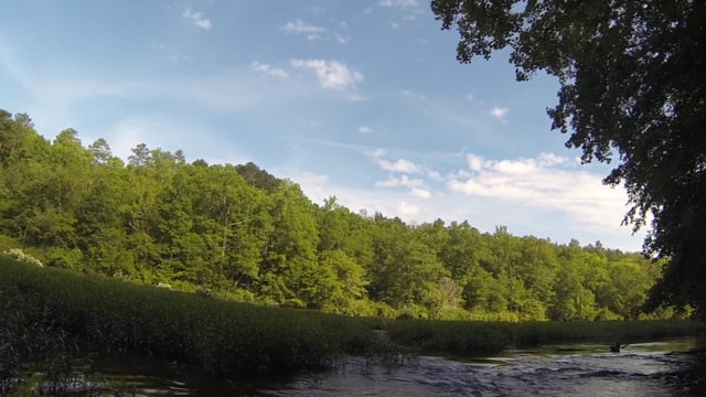 CRNWR and lilies (May 2017)