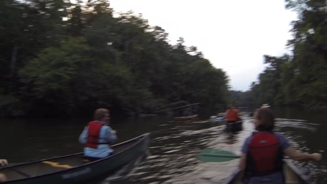 Moonlight trip (August 2014)