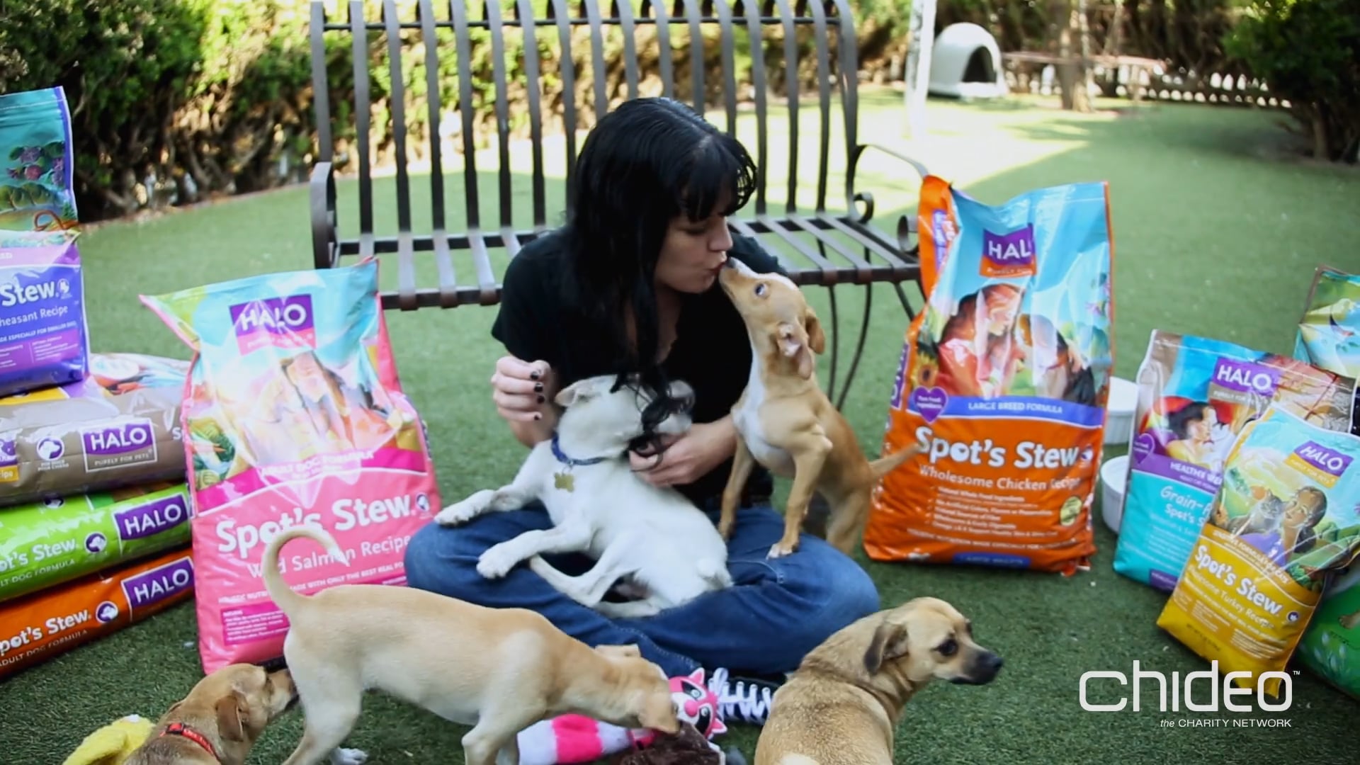 NCIS's Pauley Perrette for the Amanda Foundation and Halo Pet Foods