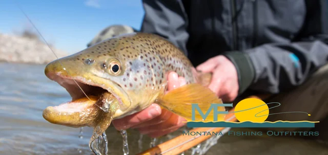 Guided Fishing Trips by Montana Fishing Outfitters