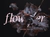 flow/er