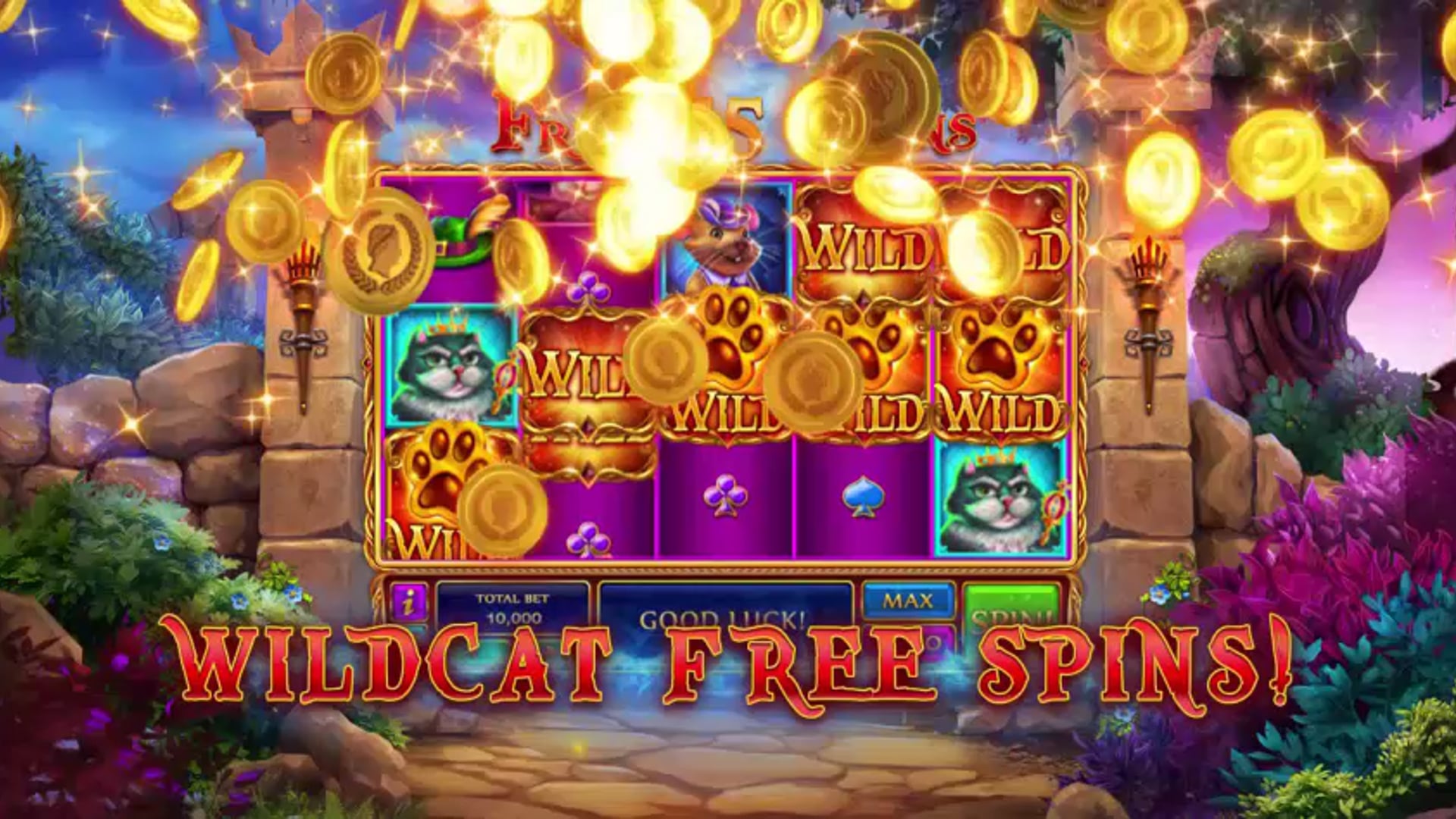 Outlaw Kitty Voiceover