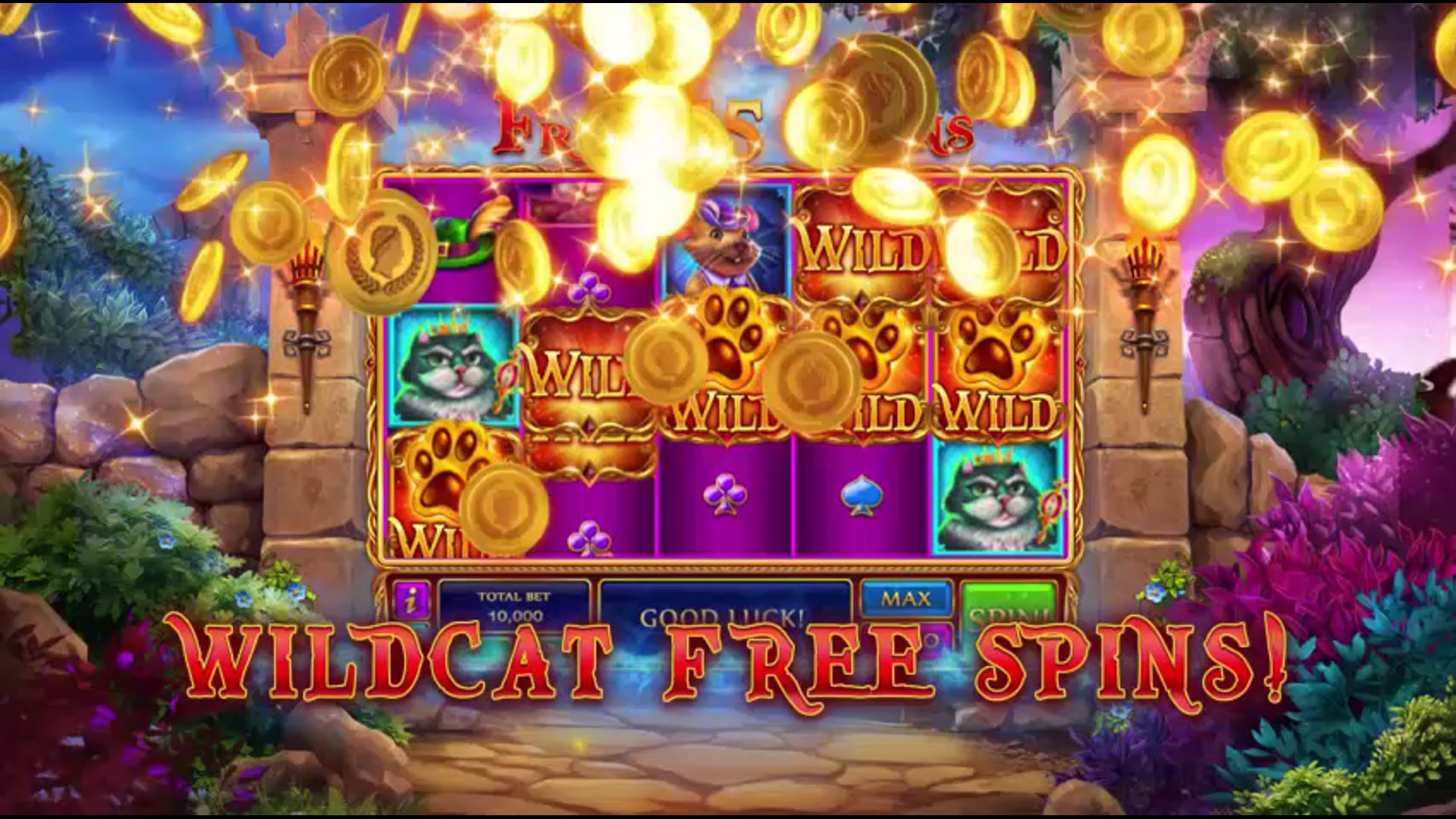 Outlaw Kitty Voiceover