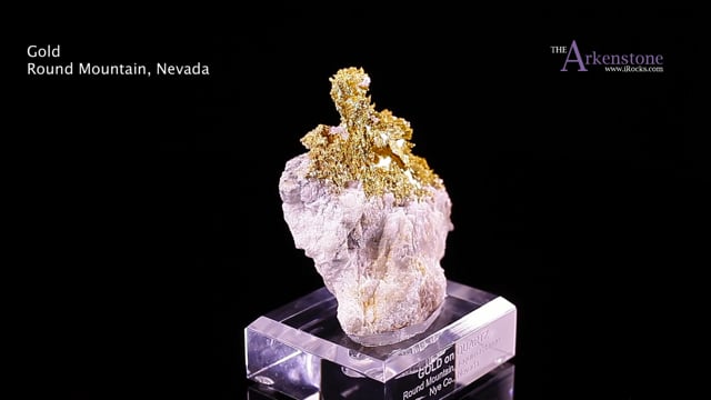 Gold on Quartz - JB17-1908 - Round Mountain Mine - USA