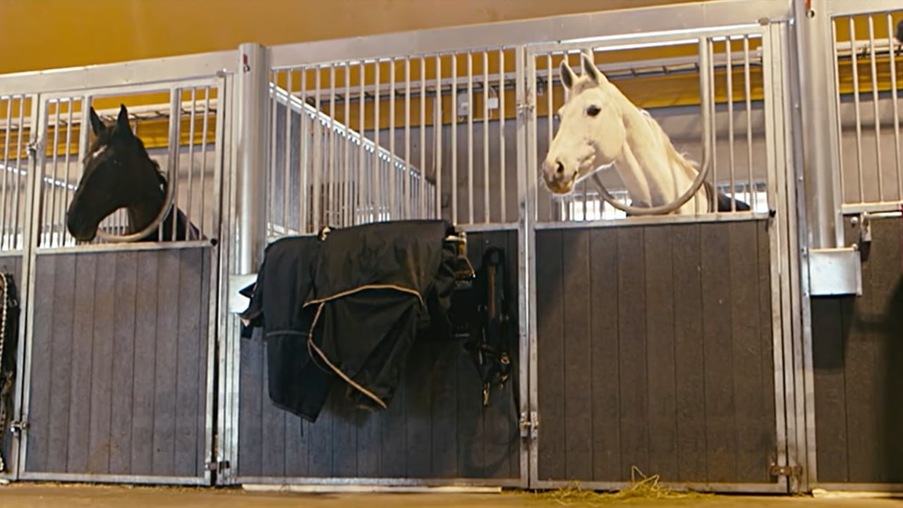 Hamppukauppa.fi - Mainos