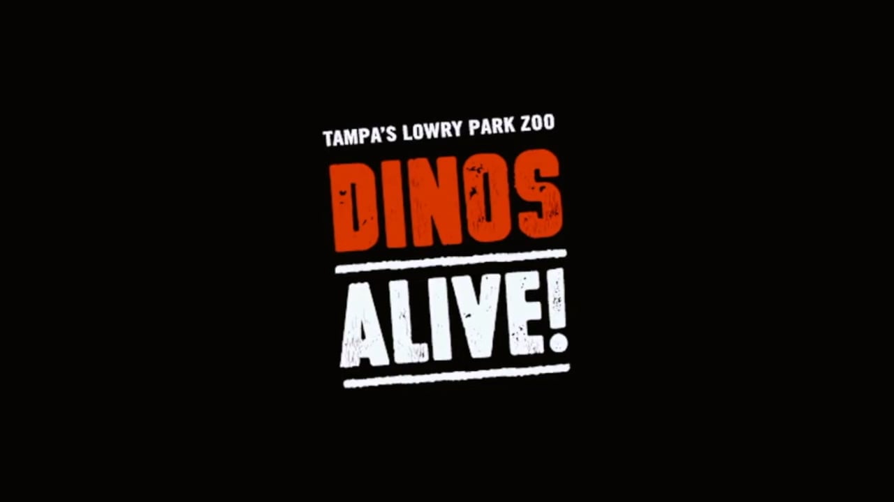 Tampa's Lowry Park Zoo (2017)