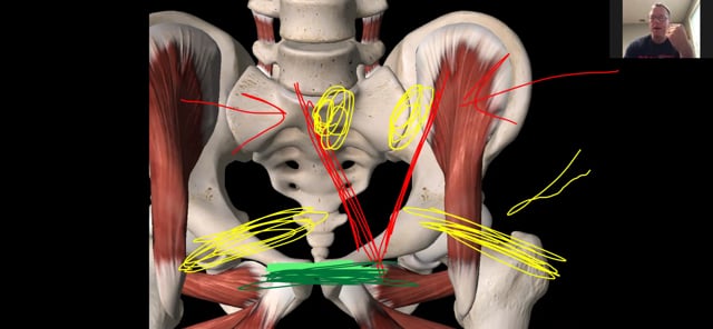  Piriformis Neural Reset