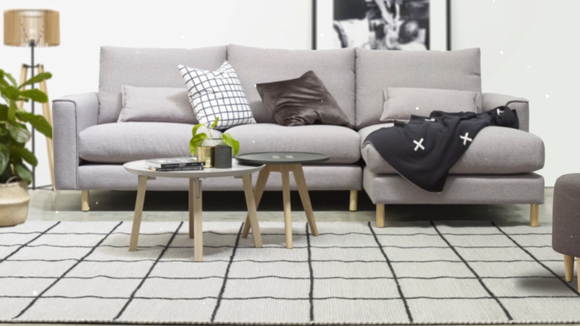 Molmic Gallus and Rea