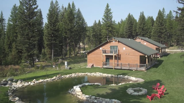 Summer at Star Meadows