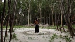 EL VIENTO DE PAULA (5:46)