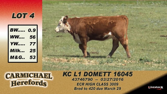 Lot #4 - KC L1 Domett 16045