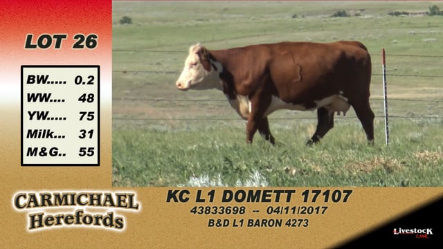 Lot #26 - KC L1 Domett 17107
