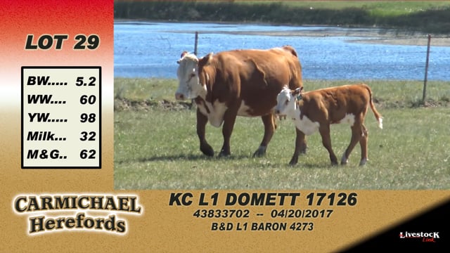 Lot #29 - KC L1 Domett 17126