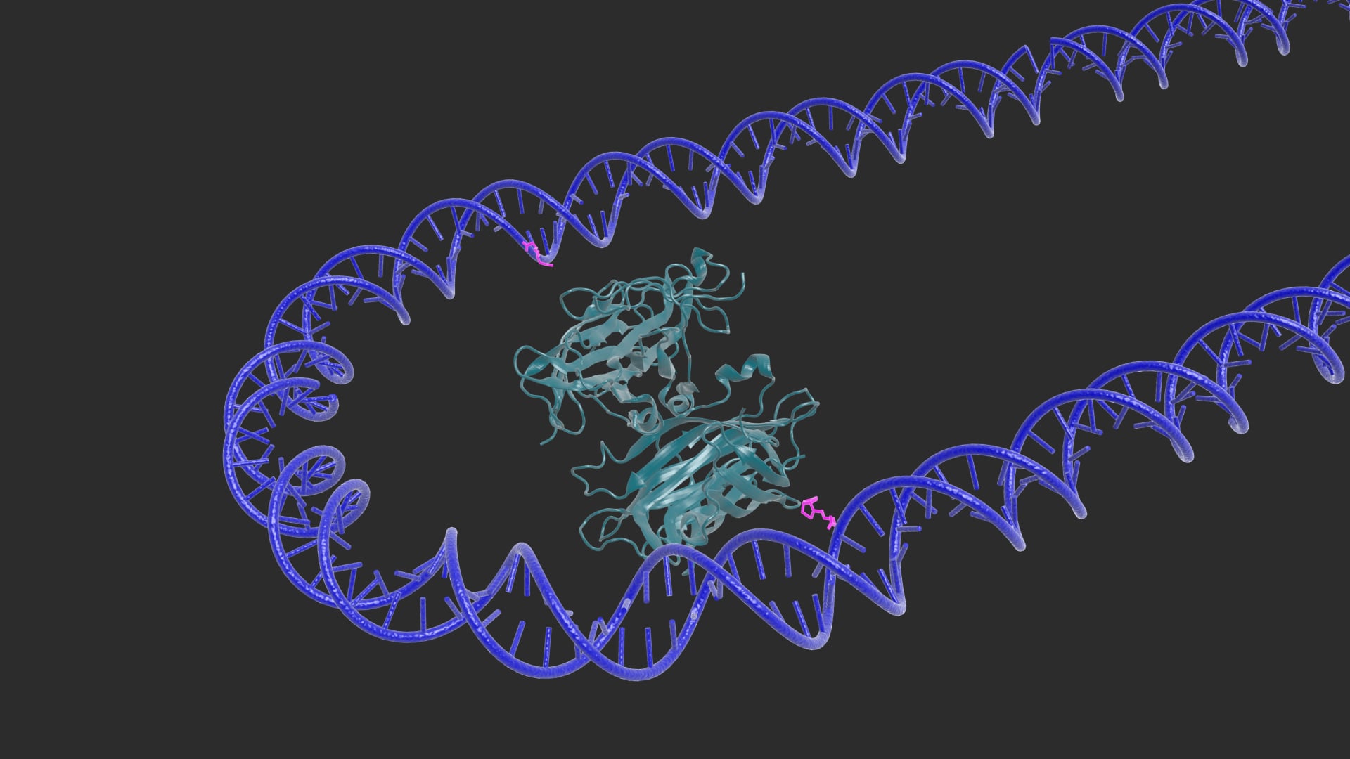DNA Nanoswitch Detection