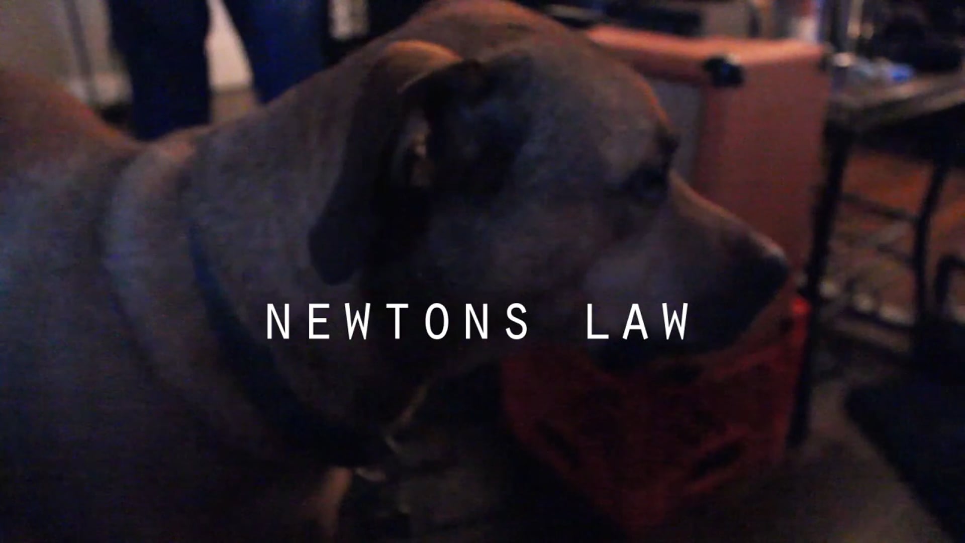 Promotional video thumbnail 1 for House of Reveries
